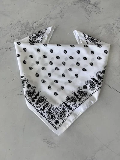 PAÑUELOS PUNTOS Blanco