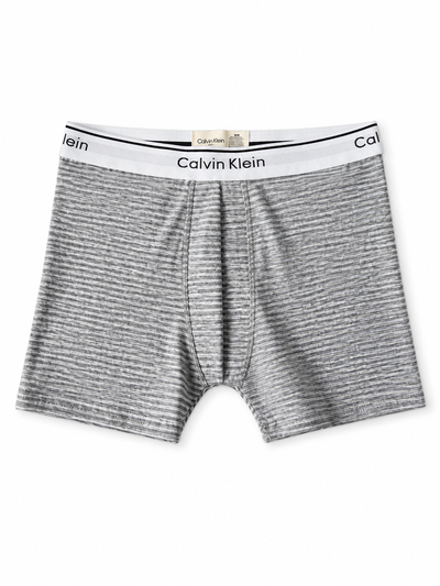 BOXER CALVIN KLEIN Gris