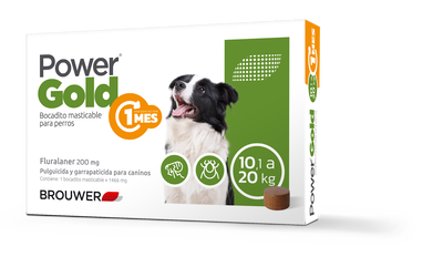 Power gold 1 mes 10 a 20kg