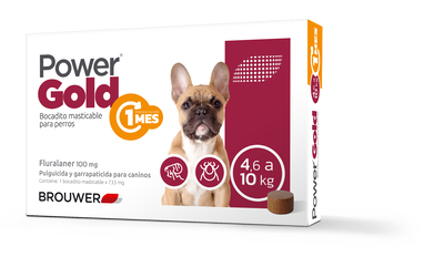 Power gold 1 mes 5 a 10kg