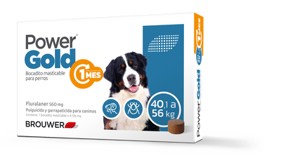 Power gold 1 mes 40 a 56kg