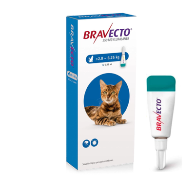 Bravecto gato 2.8 a 6.25