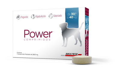 Power Comprimido h 40