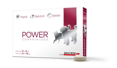 Power Comprimido h 10