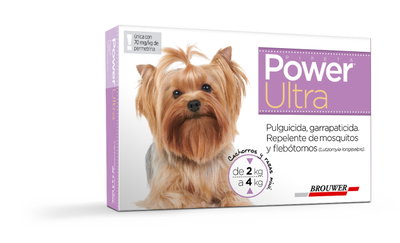 Power Ultra hasta 4