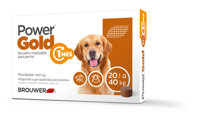 Power gold 1 mes 20 a 40kg