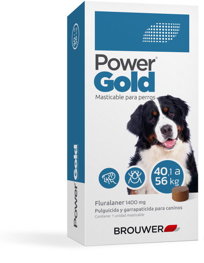 Power Gold de 40 a 56kg