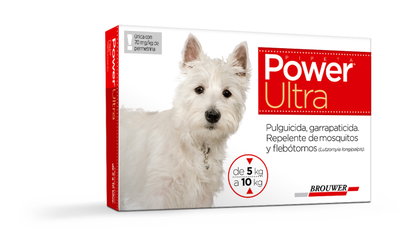 Power Ultra hasta 10