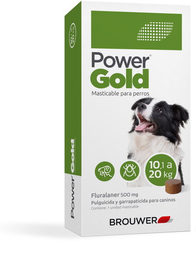 Power Gold de 10 a 20kg