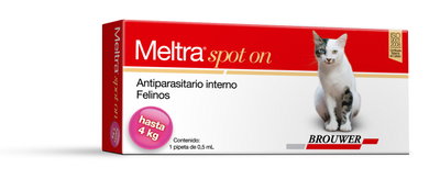 Meltra gato hasta 4