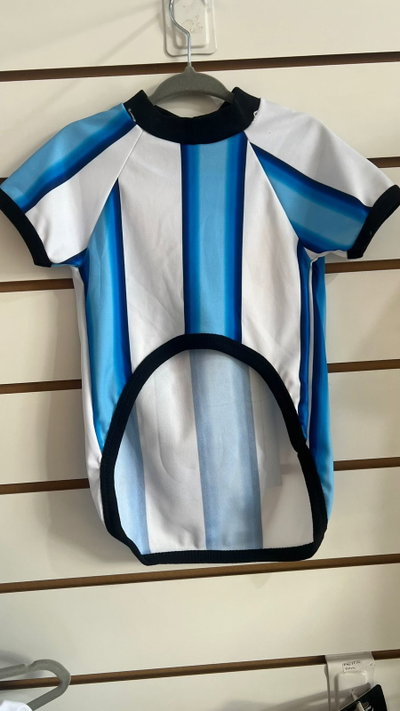 Camiseta Argentina