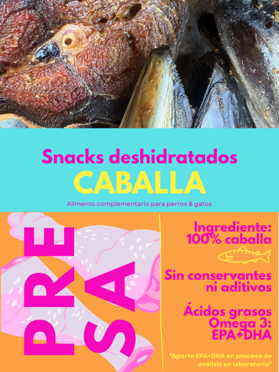 PRE-LANZAMIENTO: Snacks caballa
