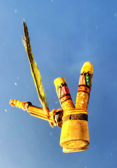 Autoaplicador (Kuripe) de caña, común