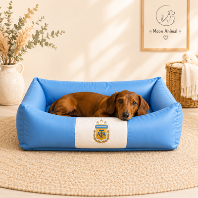 Mundial
