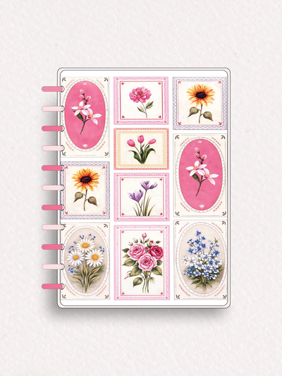 Cuaderno C209 - sistema de discos