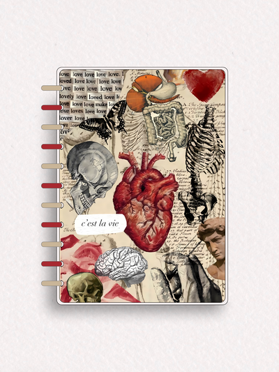 Cuaderno C40 - sistema de discos