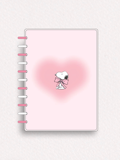 Cuaderno C13 - sistema de discos