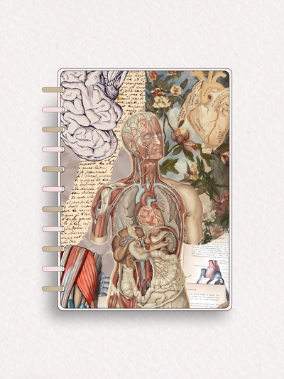 Cuaderno C170 - sistema de discos