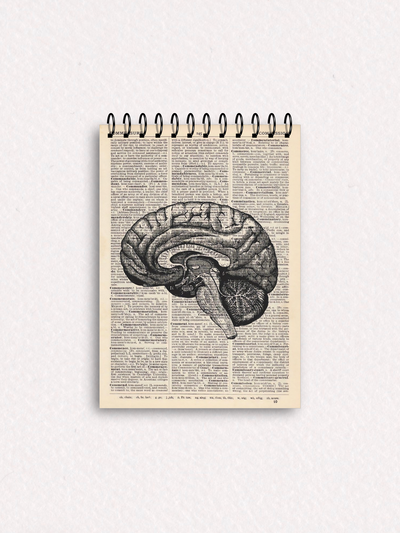 Libretas C97 - Espiral 