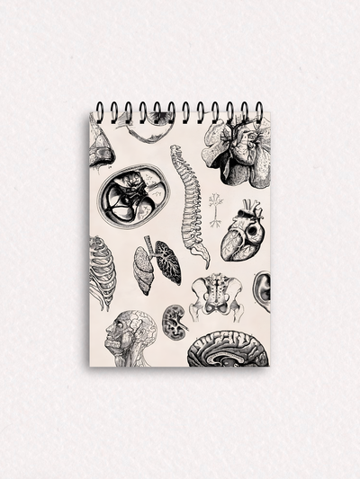 Libretas C42 - Espiral 
