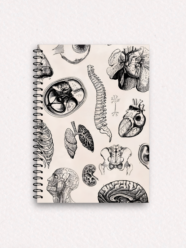 Cuaderno C42 - espiral