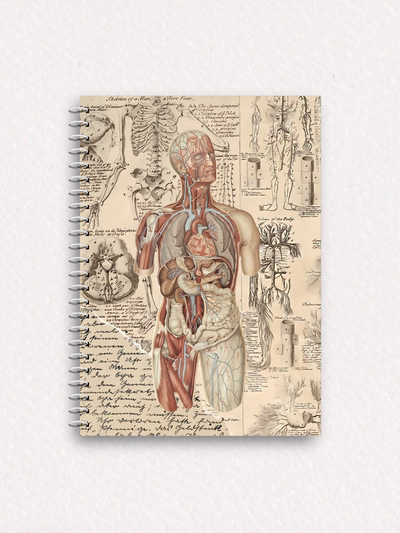 Cuaderno C101 - espiral