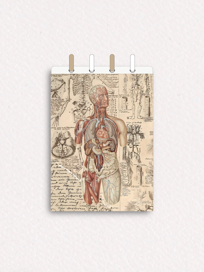 Libreta C101 - con Discos