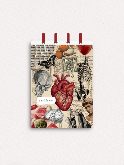Libreta C40 - con Discos