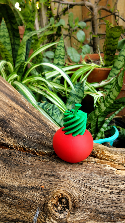 Tomate fidget