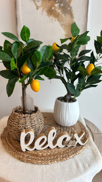 Plantas limonero 