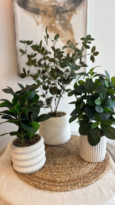 Plantas artificiales 1