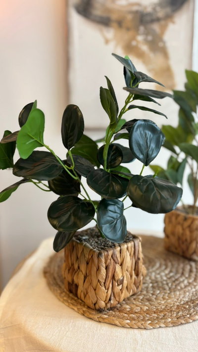 Plantas artificiales con maceta de fibras naturales 