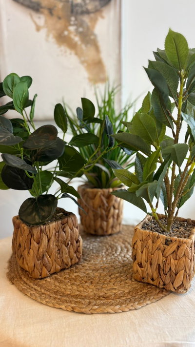 Plantas artificiales con maceta de fibras naturales 
