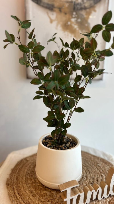 Plantas artificiales 1