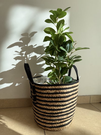Cesto de fibras naturales combinado 