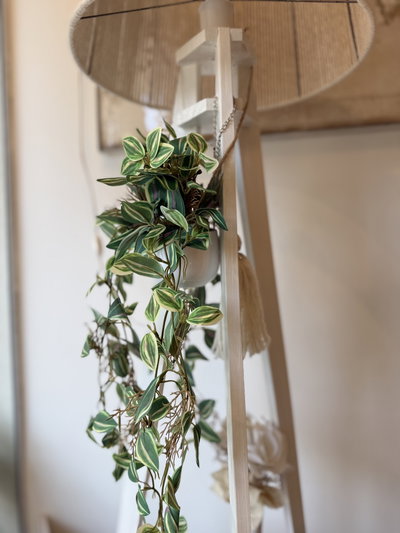 Planta colgante 