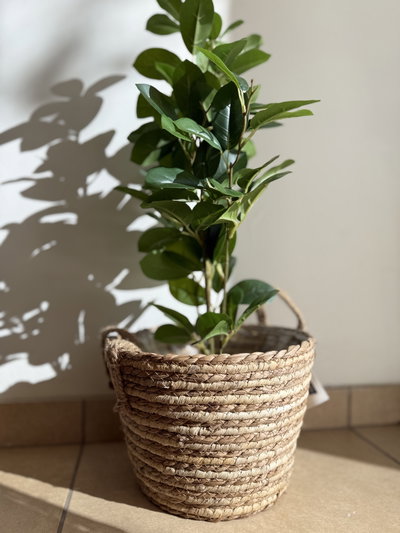Cesto de fibras naturales 