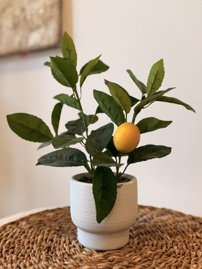 Planta artificial limonero chica