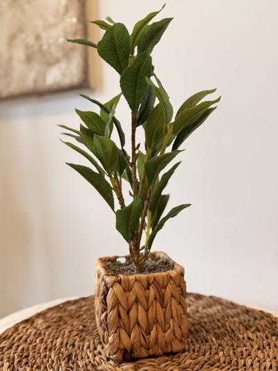 Planta artificial maceta de fibras naturales