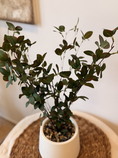 Planta artificial ‘Mora’