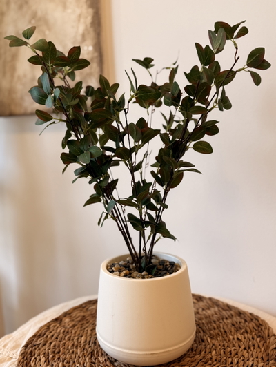 Planta artificial ‘Mora’