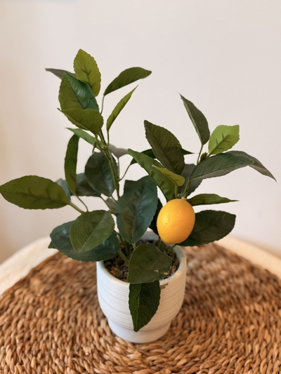 Planta artificial limonero chica