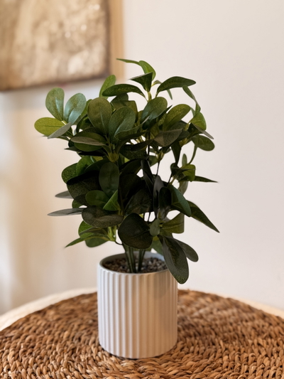 Planta artificial ‘Maceta líneas’