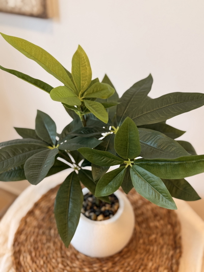 Planta artificial maceta redonda