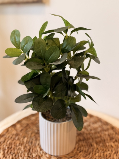 Planta artificial ‘Maceta líneas’