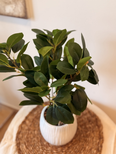 Planta artificial maceta blanca