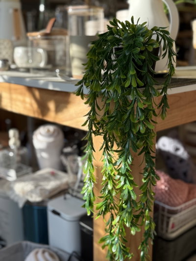 Planta colgante