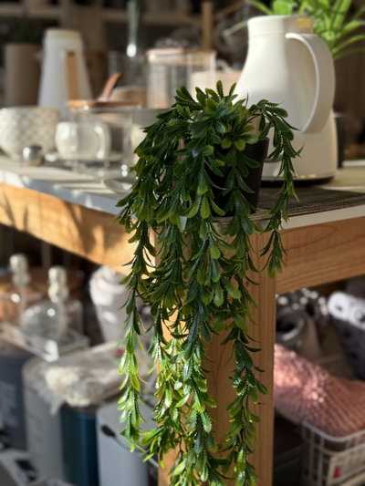 Planta colgante