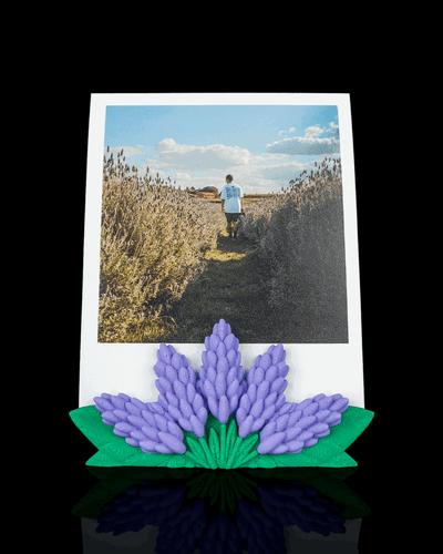 📷Porta Foto Lavanda🪻