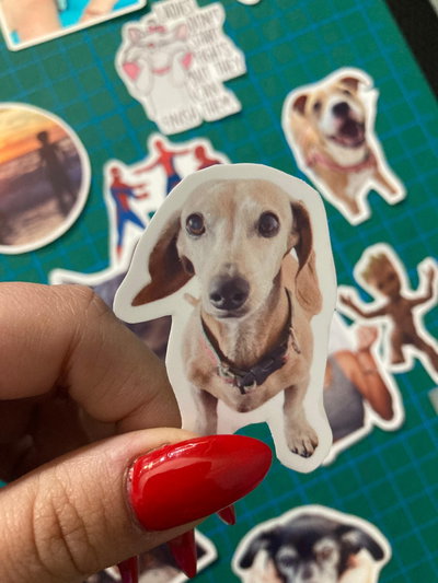 Stickers Filmilo Personalizados a prueba de agua 